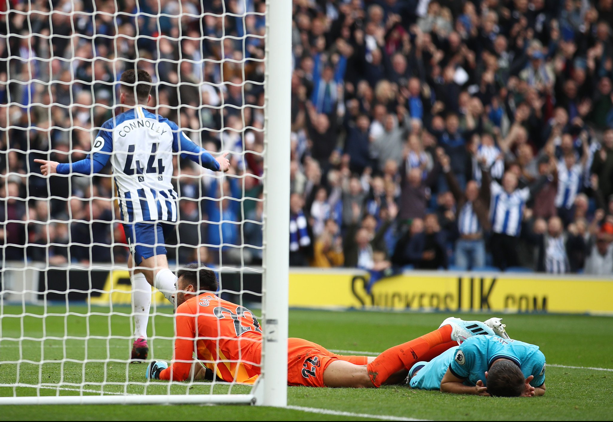 客前来观赛 客前来观赛